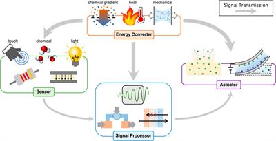 Frontiers | Soft Ionics: Governing Physics and State of Technologies